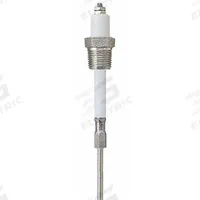 LUMENITE Liquid Level Probe: 2 Probes, NPT, 3/8 in Process Connection Size, 12 in Probe Lg (MPN PHST38Q12"UN). Key specifications — attr1387774: LUMENITE; attr1389795: Stainless Steel.