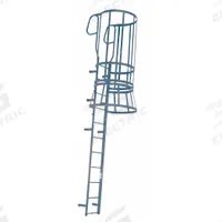 COTTERMAN Fixed Ladder with Safety Cage: 33 ft Overall Ht, 20 in Overall Wd, Steel, 30 Rungs (MPN M30WC C1). Key specifications — attr1050722: COTTERMAN; attr1050760: Assembled; attr1083696: 5.