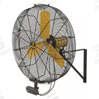 BIG ASS FANS Mounted Fan: 30 in Blade Dia, 120V AC, 1/3 hp Motor HP, Wall Mount, Non-Oscillating (MPN F-AE1-3001L13S34V56). Key specifications — Brand: BIG ASS FANS; Voltage: 120V AC; Number of Speeds: Variable; Fan Mounting Location: Wall; Oscillation: Non-Oscillating; Mounting Type: Bracket.