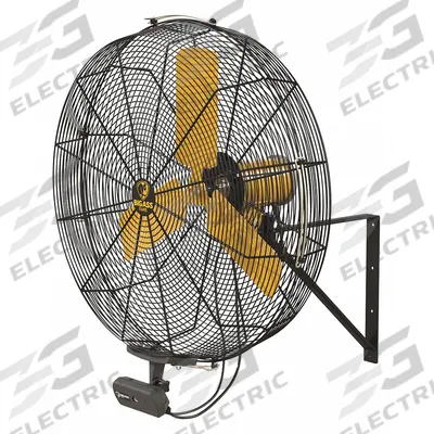 BIG ASS FANS Mounted Fan: 30 in Blade Dia, 120V AC, 1/3 hp Motor HP, Wall Mount - Standard Industrial Wall-Mount Fans
