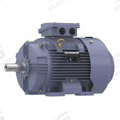MARATHON MOTORS Metric Motor: 25 hp, Rigid Base Mount, 160L Frame Size - Rigid Base 3-Phase IEC Metric General Purpose AC Motors