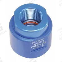 FIREYE Sealing Coupling Window: Mfr Part # 60-1199-1. Key specifications — Product Type: Sealing Coupling; Manufacturer Part Number: 60-1199-1.