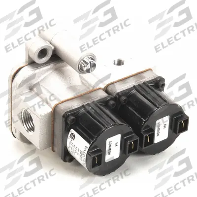 GROEN Gas Valve: 123815 - Replacement Parts for Steam Kettles