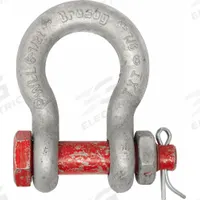 CROSBY Anchor Shackle: Anchor Shackle, 27,000 lb Working Load Limit, 2 1/4 in Wd Between Eyes, Red (MPN 1019613). Key specifications — Body Color: Silver; Brand: CROSBY.