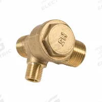 SPEEDAIRE Check Valve for Models 3331041, 3332041, 3332645.: J0186100290, 787U79/787U80/787U81. Key specifications — attr948866: J0186100290; attr948874: Check Valve; attr948875: Speedaire; attr948868: 787U81; attr948869: J0186100290.