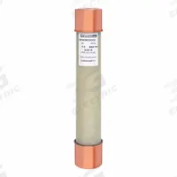 MERSEN Medium Voltage Fuses: 9F60 Series, R-Rated, 5.5 kV AC, 2 A, Gen Purpose, Indicating (MPN 9F60BDD002). Key specifications — Series: 9F60; Brand: MERSEN.