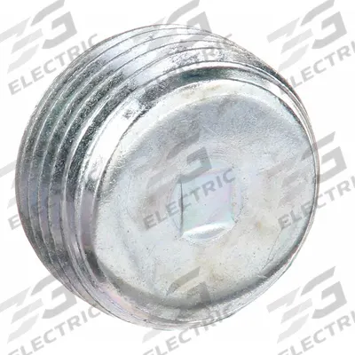 APPLETON ELECTRIC Blank Plugs - Haz Loc: Steel, Electroplated, 1 in Trade Size, NPT - Hazardous Location Blank Plugs