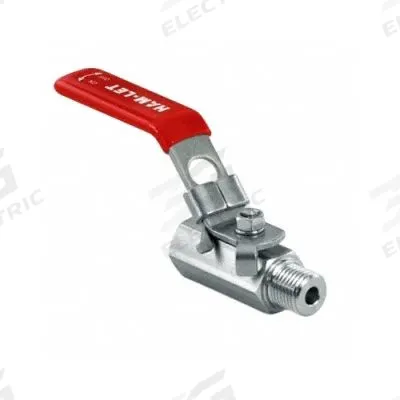 HAM-LET Manual Two-Way Ball Valve: 1/4 in, Stainless Steel, Straight, MBSPP x FBSPP - Straight-Body Stainless Steel Ball Valves