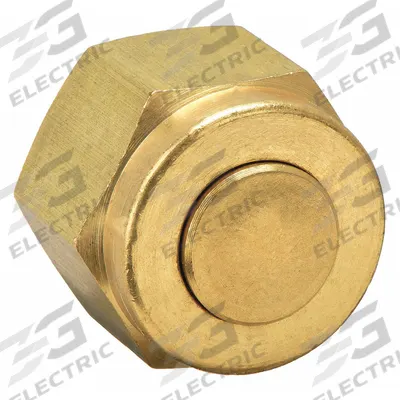 PARKER Compression Fitting Cap: 1/2 in OD Size, Compression, Brass - Double-Ferrule Brass Compression Fittings