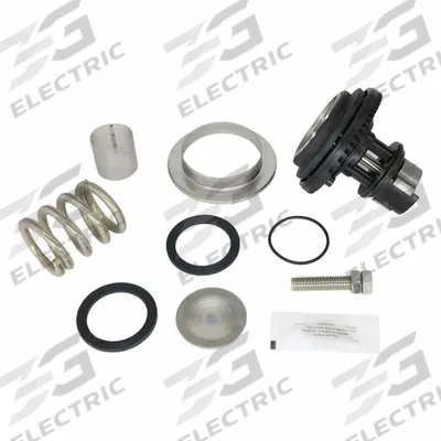 WILKINS Valve Repair Kit: EPDM/Resin/Rubber/Stainless Steel - Valve Repair Kits