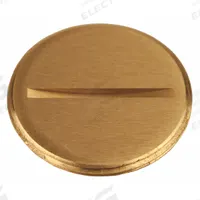 RACO Flush Replacement Plug: Round, Brass, 6284/6288, 6226. Key specifications — Brand: RACO; Accessory Type: Flush Slotted Plug; Compatible with Manufacturer Model Number: 6288; Manufacturer Part Number: 6226; Material: Brass; Shape: Round.