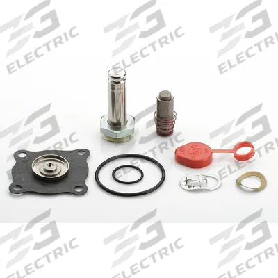 ASCO Valve Rebuild Kit (MPN 302376) - Repair Kits for Solenoid Valves