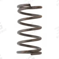 DAYTON Valve Spring: Mfr Part # PN5ZL18007G, Valve Spring, Compatible with Grainger Part # 5ZL18G. Key specifications — attr948908: PN5ZL18007G; attr948910: 5ZL18G; attr948916: Valve Spring.