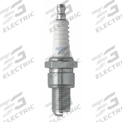 NGK Spark Plug: Lawn and Garden/Powersports/Recreation, Nickel Core, 13/16 in Hex Size - Universal Vehicle Spark Plugs