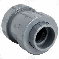 HAYWARD Check Valve: Ball, Inline Valve Body, PVC, 4 in Pipe Size, Socket x Socket, For Water Media (MPN TC1400S). Key specifications — Ball Material: PVC; Brand: HAYWARD.