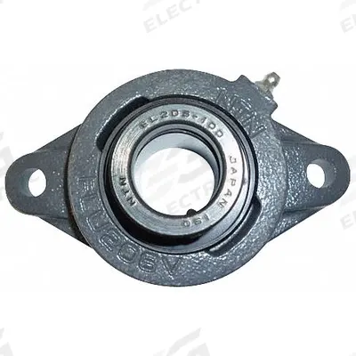 NTN 2 Bolt Flange Bearing: Radial Ball, 1 3/16 in Bore, Cast Iron, Eccentric Collar - General Purpose Flange-Mount Ball Bearings