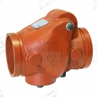 GRUVLOK Check Valve: Swing, Inline Valve Body, 2-Way, 2 1/2 in Pipe Size, Grooved End x Grooved End (MPN 2200750046). Key specifications — Connection Type - Side 2: Grooved; Connection Type - Side 1: Grooved; Brand: GRUVLOK.