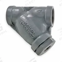 MUELLER STEAM SPECIALTY Y Strainer: 2 in, NPT, Perforated, 0.062 in Screen Size, Stainless Steel (MPN 2 581 SS screwed end). Key specifications — Brand: MUELLER STEAM SPECIALTY; Manufacturer Part Number: 2 581 SS screwed end; Screen Material: 304 Stainless Steel.