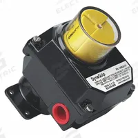 DYNAQUIP CONTROLS Limit Switch Kit: 145820.01
