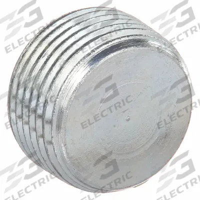 HUBBELL KILLARK Blank Plugs - Haz Loc: Steel, Electroplated, 2 in Trade Size, NPT - Hazardous Location Blank Plugs