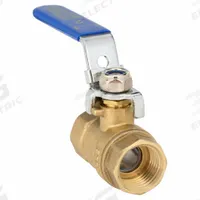 APPROVED VENDOR Manual Two-Way Ball Valve: 1/2 in, Brass, Straight, FNPT x FNPT, Full Port Ball Port (MPN G-F600-50LH). Key specifications — Brand: APPROVED VENDOR; Handle: Locking Lever.