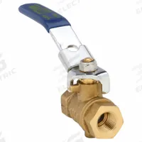 APPROVED VENDOR Manual Two-Way Ball Valve: 1/4 in, Brass, Straight, FNPT x FNPT, Full Port Ball Port (MPN G-ADV-25NLH). Key specifications — Brand: APPROVED VENDOR; Handle: Lever.