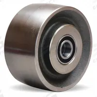 APPROVED VENDOR Caster Wheel: 6 in Wheel Dia., 3 in Wheel Wd, Steel, 4,000 lb Load Rating, Silver (MPN W-630-HFSB-3/4). Key specifications — Includes Spanner Bushing: Included; Wheel/Tread Material: Steel; Wheel/Tread Color: Silver; Brand: APPROVED VENDOR.