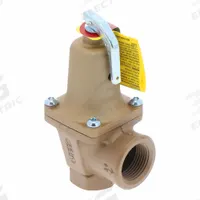 WATTS Boiler Pressure Relief Valve: FNPTF x FNPTF, 3/4 in x 1 in, Iron, 20 psi Max. Op Pressure (MPN F382008). Key specifications — Brand: WATTS.