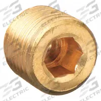 APPROVED VENDOR Plug: Plug, 1/4 in, NPT Threaded, Brass (MPN 6AYZ8)