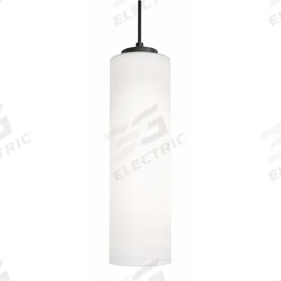 AFX INC. Decorative Pendant: 4 in Dia, 12 in Ht, Black, 60 W - Leo Pendant Lights