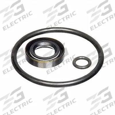 FLUKE Seal Kit: Seal Kit, Seal Kits, Seal Kits, P5515SK, Seal Kit