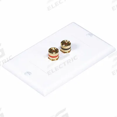 MONOPRICE Audio/Video Wall Plate: 1 Gang, 2 Port, With RCA - Audio-Video Jacks with Frames