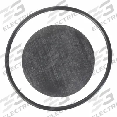 ASCO Valve Rebuild Kit: Diaphragm/O-Rings (MPN 172009) - Repair Kits for Solenoid Valves
