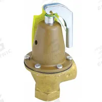 WATTS Pressure Relief Valve: FNPTF x FNPTF, 1 1/4 in x 1 1/4 in, Copper Silicon Alloy (MPN 0121514). Key specifications — Brand: WATTS.