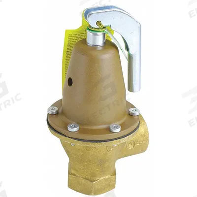 Watts Pressure Relief Valve: FNPTF x FNPTF, 1 1/4 in x 1 1/4 in - ASME Section XIII Hot Water Pressure Relief Valves