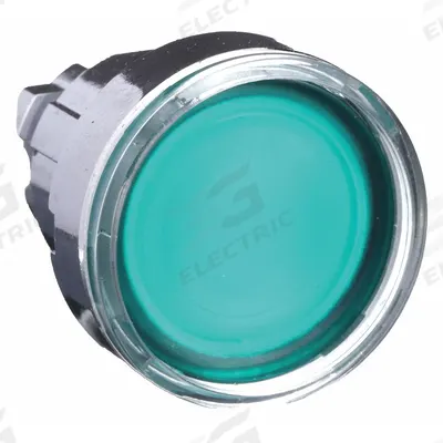 SCHNEIDER Flush Push Button: Green, 22 mm Mounting Size, Metallic - Illuminated Flush-Mount Push-Button Operators