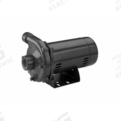 STA-RITE Centrifugal Pump: 1 1/2 hp, 115/230V AC, 140 ft Max Head, 1 1/4 in - 1 to 1-1/2 HP Straight Centrifugal Pumps