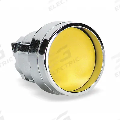 SCHNEIDER Recessed Push Button: 22 mm Mounting Size, Metallic - Flush-Mount & Recessed Push-Button Operators