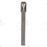 TY-RAP Cable Tie: 8 in Nominal Lg, 2 in Nominal Max. Bundle Dia., 0.31 in Wd, Silver, 50 PK (MPN LS-7.9-200A). Key specifications — Brand: TY-RAP; Locking Style: Ball Lock; Color: Silver.