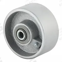 ALBION Caster Wheel: 4 in Wheel Dia., 2 in Wheel Wd, Iron, 1,000 lb Load Rating, 2 3/16 in Hub Lg (MPN CA0420112). Key specifications — Includes Spanner Bushing: Included; Wheel/Tread Material: Iron; Wheel/Tread Color: Silver; Brand: ALBION.