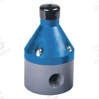 HAYWARD Pressure Reducing Control Valve: PTFE, 1/4 in x 1/4 in, NPT x NPT, 34°F to 250 psi, 34°F (MPN RPV5025TPE1). Key specifications — Brand: HAYWARD.