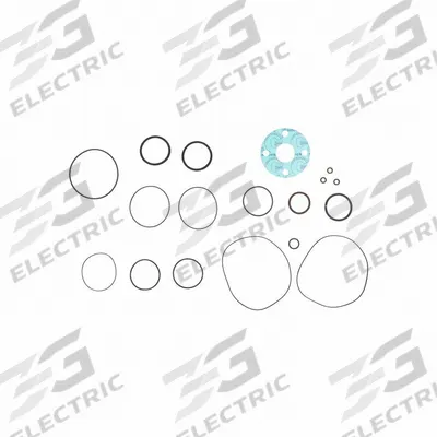 FILL-RITE Viton Seal Kit: Viton Seal Kit, Fill-Rite, (12) O-Rings/Square Seal (MPN SK20VIT-V13) - Pumps