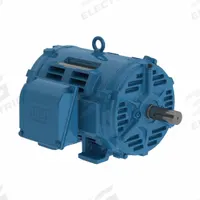 WEG General Purpose Motor: Rigid Base Mount, Open Drip Proof, 50 hp, 230/460V AC/380V AC, 1,765 RPM (MPN 05018OT3E326T-W40G). Key specifications — Brand: WEG; Nameplate Voltage @ 60 Hz: 230/460V AC; Full Load Current @ 60 Hz: 58.5 A; Nameplate RPM @ 60 Hz: 1,765 RPM; Motor Enclosure: ODP.