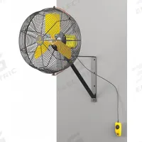 BIG ASS FANS Mounted Fan: 20 in Blade Dia, 120V AC, 1/3 hp Motor HP, Wall Mount, Non-Oscillating (MPN F-AE1-2001L13S34). Key specifications — Brand: BIG ASS FANS; Voltage: 120V AC; Number of Speeds: Variable; Fan Mounting Location: Wall; Oscillation: Non-Oscillating; Mounting Type: Bracket.
