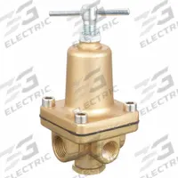 APPROVED VENDOR Pressure Regulator: FNPT x FNPT, 1/2 in Pipe Size, Brass, 50 psi to 175 psi (MPN 30PV13). Key specifications — Brand: APPROVED VENDOR.