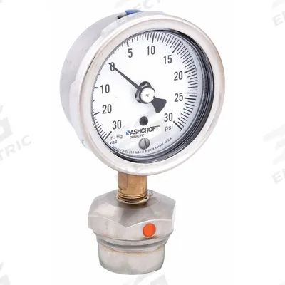 ASHCROFT Pressure Gauge with Diaphragm Seal: 0 psi to 30 psi, 1009/310-315, 2 1/2 in Dial - Dial Pressure Gauges with 316 SS Female-Threaded Mini-Seal