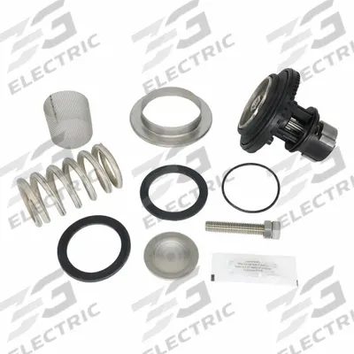 WILKINS Valve Repair Kit: EPDM/Resin/Rubber/Stainless Steel - Valve Repair Kits