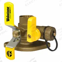 WEBSTONE Rotating Flanged Ball Valve w/Drain: 1 1/4 in, Brass, 600 psi Max. Op Pressure, Lever (MPN 41415HV). Key specifications — Brand: WEBSTONE; Handle Material: Steel; Includes: Bolts.