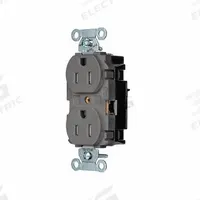 HUBBELL Receptacle: Duplex, 5-15, Gray, 125V AC, 15 A, 2 Pole / 3 Wire (MPN BR15STGYTR)