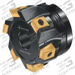 WALTER Indexable Face Mill: F5141.B22.063.Z06.12 (MPN 6195336). Key specifications — attr256955: F5141.B22.063.Z06.12.